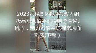 2023眼镜哥团队 MJ双人组极品高颜值平面模特全套MJ玩弄，药力不够中途醒来场面刺激(下部）