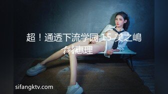 超！通透下流学园 15 美之嶋惠理