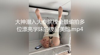 户外车震良家少妇（全集）