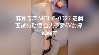 麻豆傳媒 MDHG-0027 這個面試有點硬 台大學霸AV女優 魏喬安