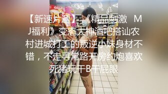 【三级】《绝色女仆小姐姐》