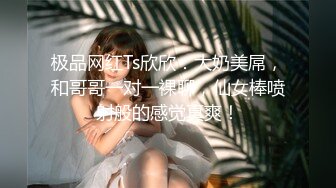 兔子先生TZ-141长腿女房客的诡计