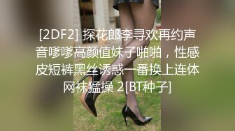 极品女模名媛王俪丁大尺度私拍 露脸情趣真空无内露点诱惑挑逗