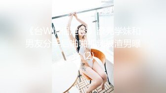 【AV佳丽】巨乳调酒师小野野操她变态的老板