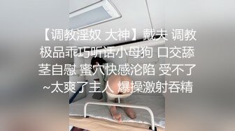 广西南宁母狗