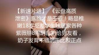 放浪传媒 FX0004 激淫欲生日宴之女体盛 宋南伊