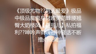 叮当小母狗