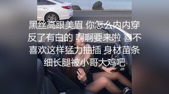 渔网丝袜后入插入