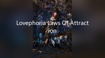 Lovephoria Laws Of Attraction