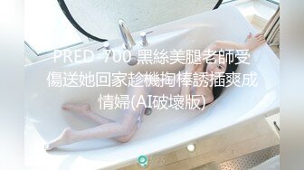 后入黑丝女仆女友