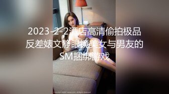 麻豆传媒MSD-087今晚老公不在家-陈小雨