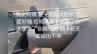 后入翘臀红丝女友