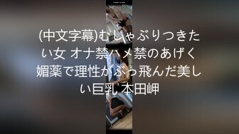 (中文字幕)むしゃぶりつきたい女 オナ禁ハメ禁のあげく媚薬で理性がぶっ飛んだ美しい巨乳 本田岬