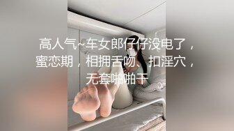 韵味十足！高颜值TS 小柔 付费长视频，秘书情趣女仆黑丝 (7)