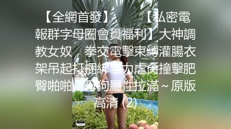 变态绅士手淫会第四季 口交、手交、乳交、榨精、推油、技术型手法，画质光线完美