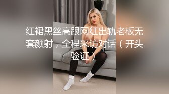 【大象传媒】ds-003 晨曦捕获小公狗