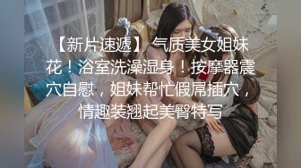 完美的女秘书