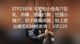 STP25806 可爱的小兔兔??巨乳、肉棒，肌肤白嫩，狂插小骚穴，奶子跟着摇缀，脸上发出痛苦的呻吟表情！ VIP2209