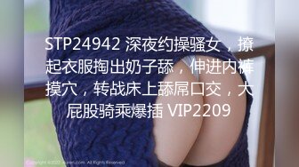 STP24942 深夜约操骚女，撩起衣服掏出奶子舔，伸进内裤摸穴，转战床上舔屌口交，大屁股骑乘爆插 VIP2209