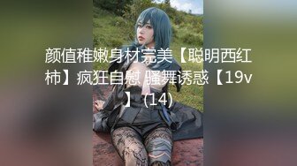 猫爪传媒 MMZ-060 装修工的报复 艳丽女神-赵一曼