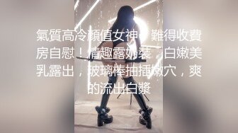 和憧憬的女上司 铃木真夕