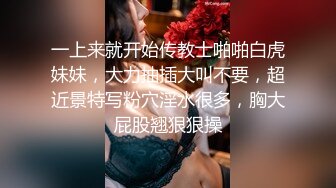 MDX-0177痴女路边捡屍醉汉-秦可欣