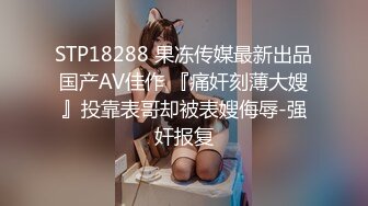 STP18288 果冻传媒最新出品国产AV佳作 『痛奸刻薄大嫂』投靠表哥却被表嫂侮辱-强奸报复