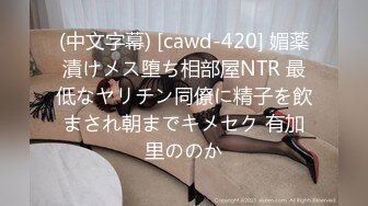 洛阳0379大屌正大西区小美女