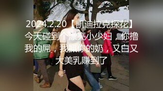 2024.2.20【凯迪拉克探花】今天碰到个漂亮小少妇，你撸我的屌，我抓你的奶，又白又大美乳赚到了