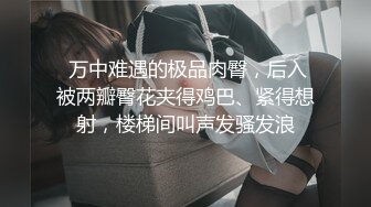 后入骚妻手势验证