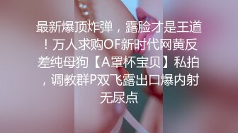 CD小熏✨ 极品美妖单人Solo特辑 阳具骑乘后庭爽倍快乐 前列腺高潮寸止快感崩坏 沦陷高潮上头1 (1)