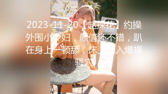 2023-11-20【赵探花】约操外围小少妇，颜值还不错，趴在身上一顿舔，床上侧入爆操骚穴